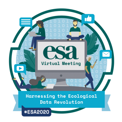 Blue logo with words "ESA Virtual Meeting" inside the image of a computer monitor.