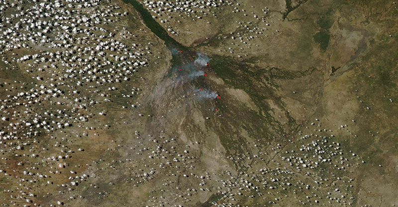 Fires in the Okavango Delta, Botswana on 17 March 2019 (MODIS/Aqua)