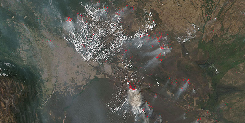 Fires in Bolivia on 24 August 2019 (Suomi-NPP/VIIRS)