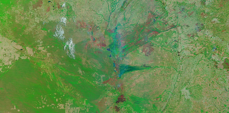 Fires on the border of Brazil and Bolivia on 4 October 2020 (MODIS/Terra)