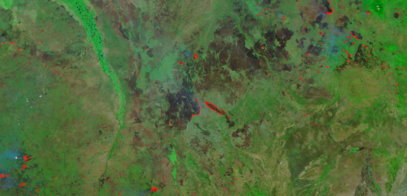 Fires in South Sudan on 13 January 2019 (Suomi-NPP/VIIRS)