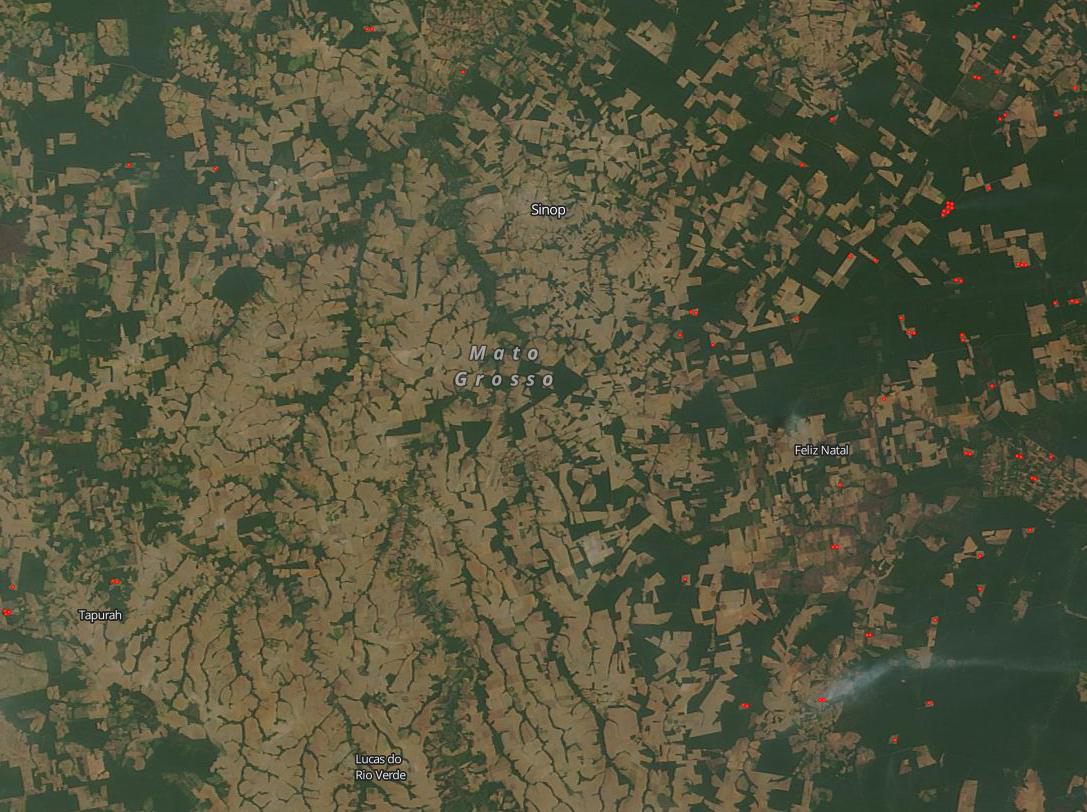 NRT IOTW Deforestation full