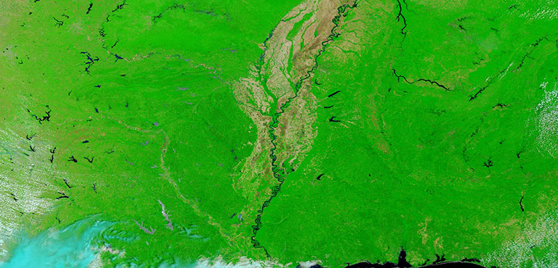 False color image of the Mississippi River on 31 May 2020 (MODIS/Terra)