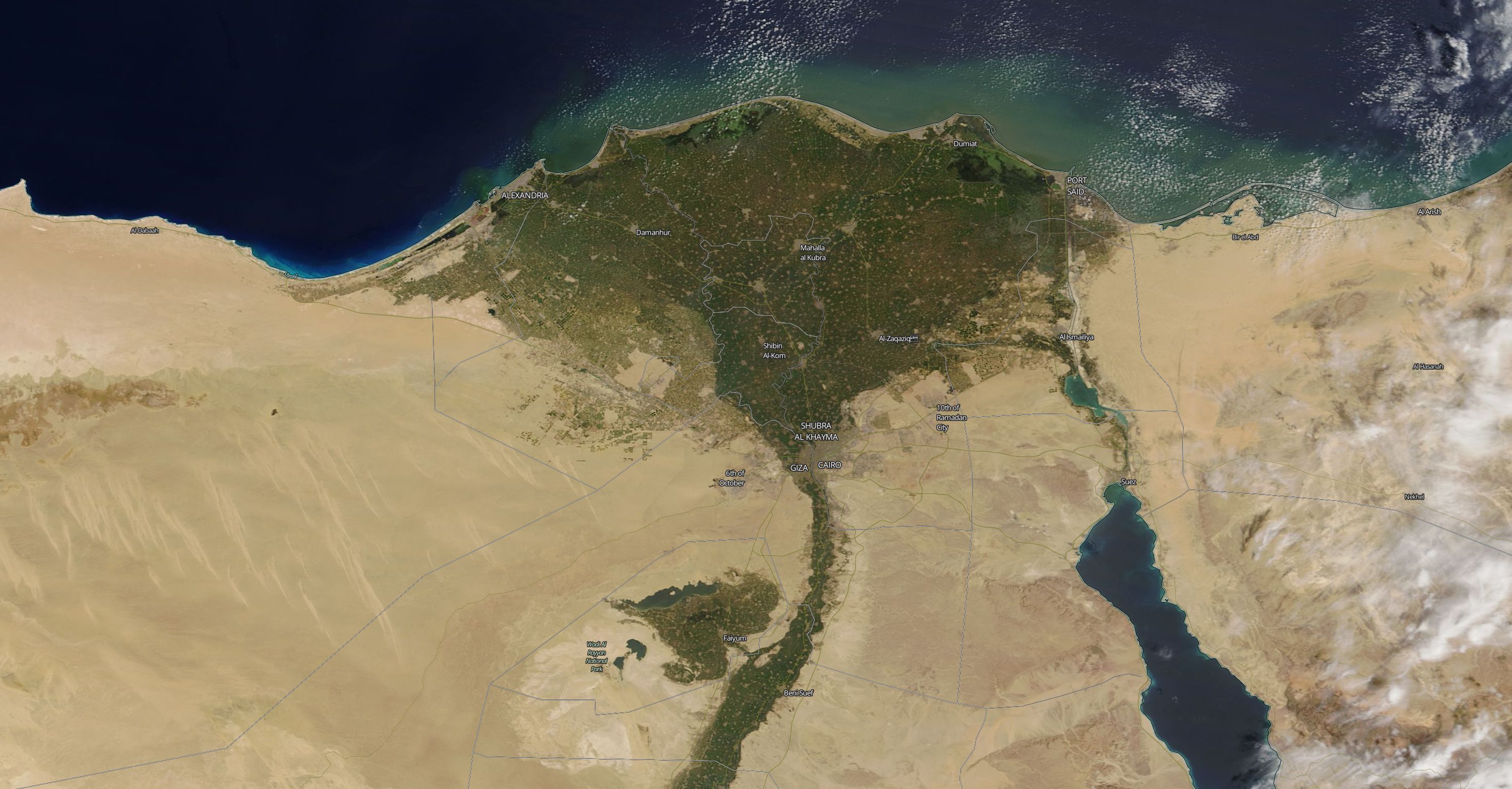 Nile Delta Large