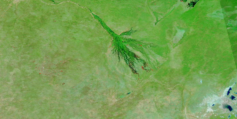 Fires in the Okavango Delta, Botswana on 17 June 2018 (Suomi-NPP/VIIRS)