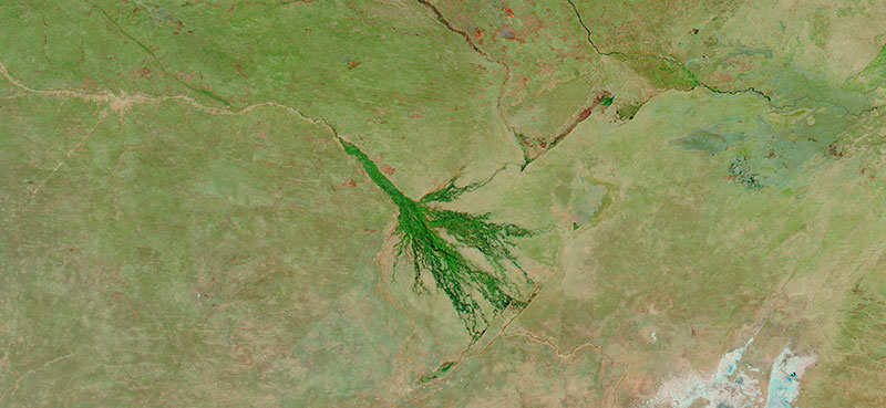 Okavango Delta, Botswana on 10 August 2020 (MODIS/Aqua)