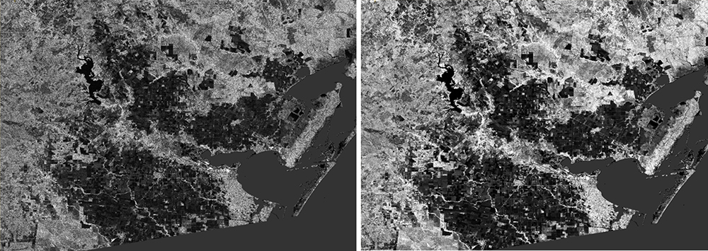 Comparison of speckle in SAR imagery within Sentinel-1 Toolbox