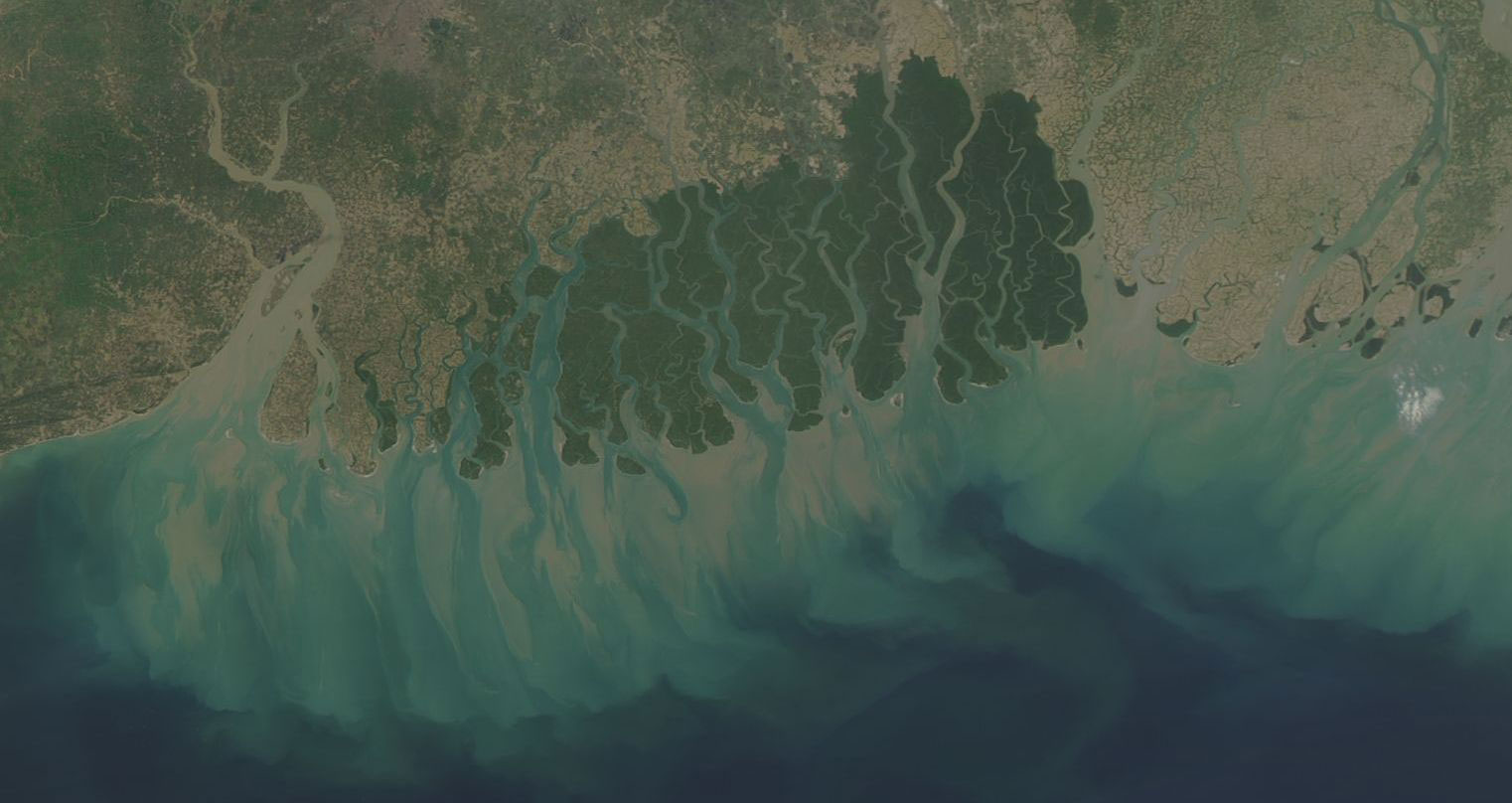 Sundarban forest in India and Bangladesh on 28 February 2018 (MODIS/Aqua)