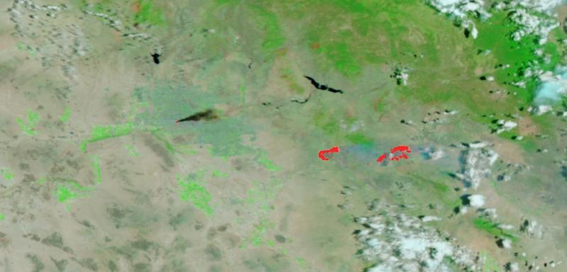Telegraph and Mescal Fires, Arizona on 5 June 2021 (Suomi NPP/VIIRS)