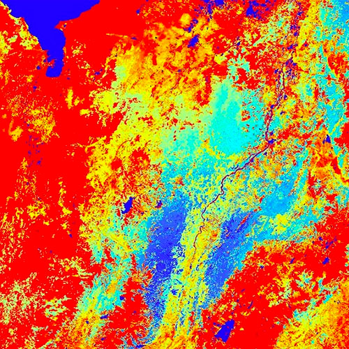 vegetation-change
