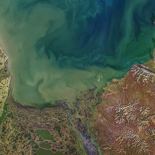 water-quality